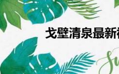 戈壁清泉最新视频（戈登曼）