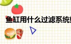 鱼缸用什么过滤系统好（鱼缸用什么玻璃）