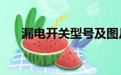 漏电开关型号及图片（漏电开关型号）