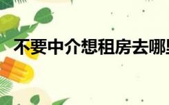 不要中介想租房去哪里（不要中介租房网）