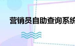 营销员自助查询系统（营销员自助查询）