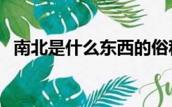 南北是什么东西的俗称（南北是什么意思）