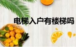 电梯入户有楼梯吗（电梯入户安全吗）