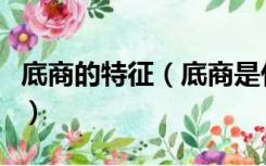 底商的特征（底商是什么意思底商有什么特性）