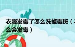 衣服发霉了怎么洗掉霉斑（衣服发霉怎么洗掉霉斑衣服为什么会发霉）