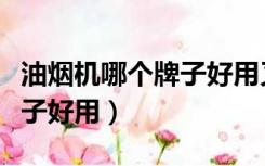 油烟机哪个牌子好用又好清洗（油烟机哪个牌子好用）