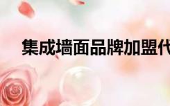 集成墙面品牌加盟代理（集成墙面品牌）