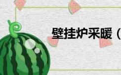 壁挂炉采暖（壁挂炉采暖）