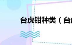 台虎钳种类（台虎钳型号有哪些）