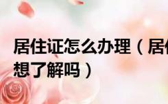 居住证怎么办理（居住证有什么用如何办理你想了解吗）