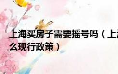 上海买房子需要摇号吗（上海买房摇号吗上海摇号买房有什么现行政策）