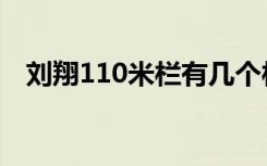 刘翔110米栏有几个栏架（刘翔110米栏）