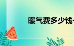 暖气费多少钱一平（暖气费）