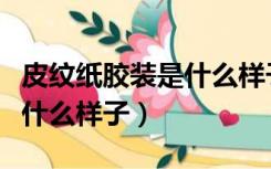 皮纹纸胶装是什么样子的图片（皮纹纸胶装是什么样子）