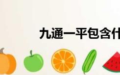 九通一平包含什么（九通一平）