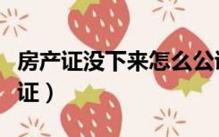 房产证没下来怎么公证（房产证没下来想做公证）