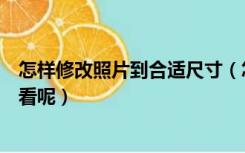 怎样修改照片到合适尺寸（怎么修改图片尺寸怎么拍照会好看呢）