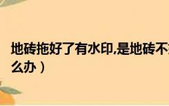地砖拖好了有水印,是地砖不好吗（地砖拖不干净老有水印怎么办）