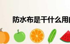 防水布是干什么用的（什么是防水布）