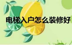 电梯入户怎么装修好（电梯入户怎么装修）