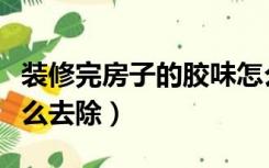 装修完房子的胶味怎么去除（装修后的胶味怎么去除）