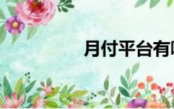 月付平台有哪些（月付）