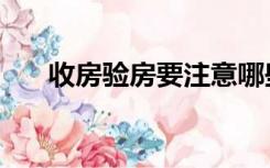 收房验房要注意哪些细节（收楼验房）