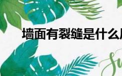 墙面有裂缝是什么原因（墙面有裂缝）