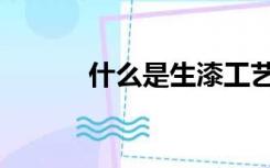 什么是生漆工艺（什么是生漆）