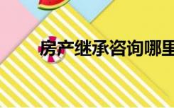 房产继承咨询哪里（房产继承咨询）