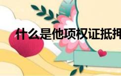 什么是他项权证抵押（什么是他项权证）