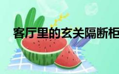 客厅里的玄关隔断柜应该摆放什么东西好