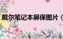 戴尔笔记本屏保图片（戴尔笔记本高清壁纸）