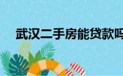 武汉二手房能贷款吗（二手房能贷款吗）