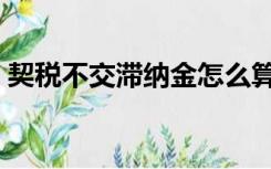 契税不交滞纳金怎么算（契税滞纳金怎么算）