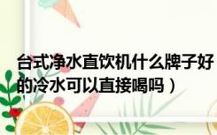 台式净水直饮机什么牌子好（进口净水器哪个牌子好直饮机的冷水可以直接喝吗）