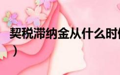 契税滞纳金从什么时候开始算的（契税滞纳金）