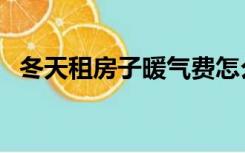 冬天租房子暖气费怎么算（暖气费怎么算）