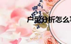 户型分析怎么写（户型分析）