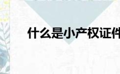 什么是小产权证件（什么是小产权）