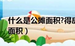 什么是公摊面积?得房率是什么（什么是公摊面积）