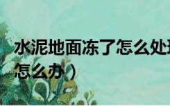 水泥地面冻了怎么处理（刚打的水泥地面冻了怎么办）