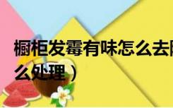 橱柜发霉有味怎么去除（橱柜里老是有霉味怎么处理）