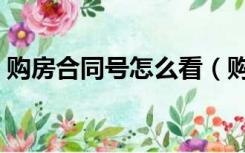 购房合同号怎么看（购房合同号在哪里看到）