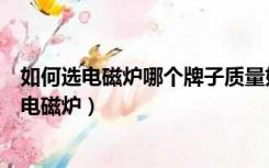 如何选电磁炉哪个牌子质量好（电磁炉哪个牌子好如何挑选电磁炉）