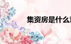 集资房是什么意思（集资房）