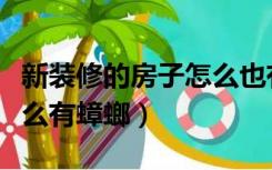 新装修的房子怎么也有蟑螂（新装修的房子怎么有蟑螂）
