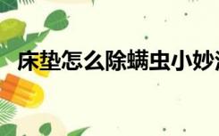 床垫怎么除螨虫小妙法（床垫怎么除螨虫）