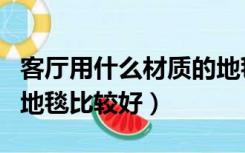 客厅用什么材质的地毯好（客厅用什么材料的地毯比较好）