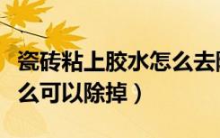 瓷砖粘上胶水怎么去除（胶水粘在瓷砖上用什么可以除掉）
